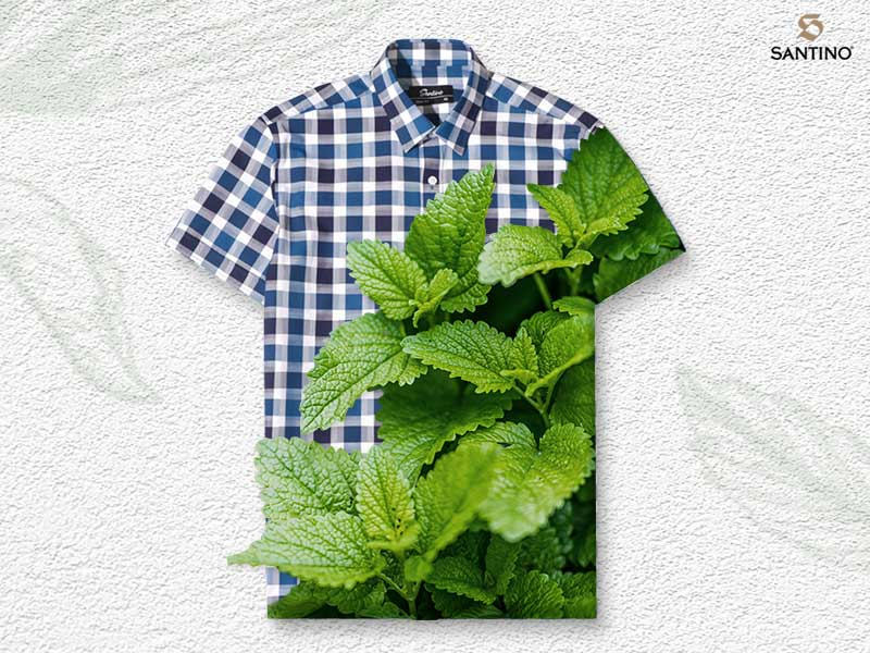 áo sơ mi từ vải sợi bạc hà 