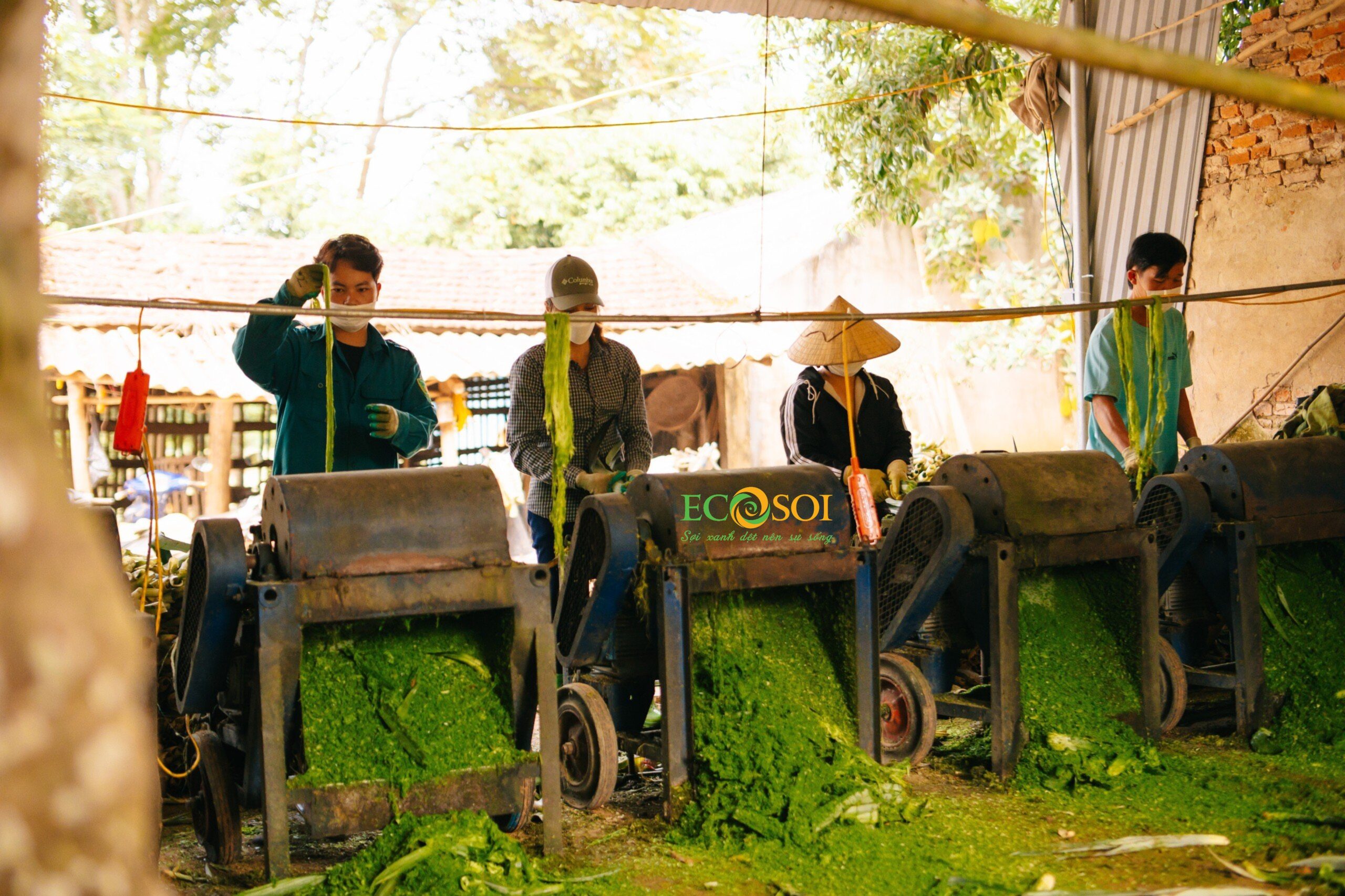 vải sợi dứa thời trang xanh