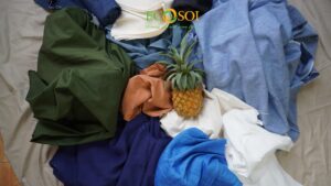 Nguồn: Ảnh vải dứa Ecosoi
