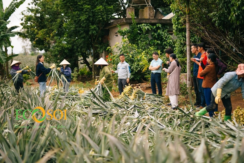 Gặp gỡ đội ngũ R&D tại Ecosoi – những người “dệt nên tương lai xanh” từ lá dứa