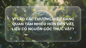 VÌ SAO CÁC THƯƠNG HIỆU ĐANG QUAN TÂM NHIỀU HƠN ĐẾN VẬT LIỆU CÓ NGUỒN GỐC THỰC VẬT?