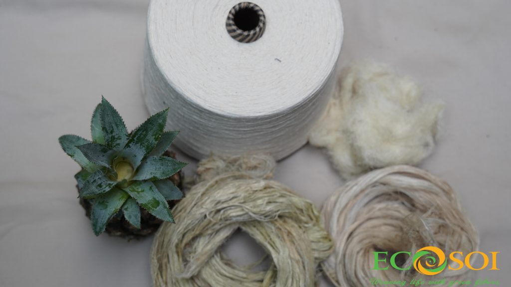 ECOSOI – CATALOGUE XƠ, SỢI DỨA