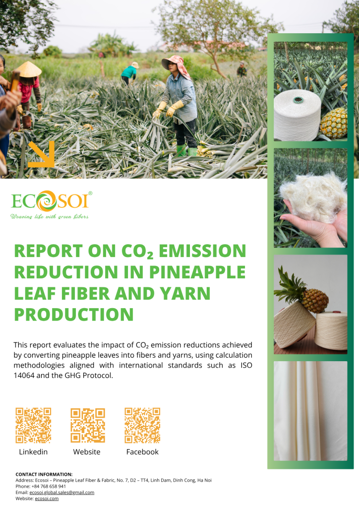 Ecosoi – Báo cáo giảm phát thải CO₂ trong sản xuất xơ và sợi dứa