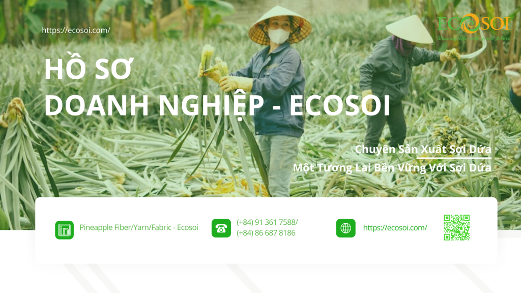 ECOSOI – HỒ SƠ DOANH NGHIỆP