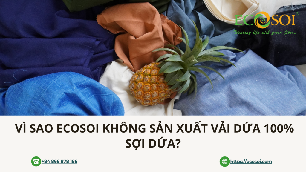 Vì Sao Ecosoi Không Sản Xuất Vải Dứa 100% Sợi Dứa?