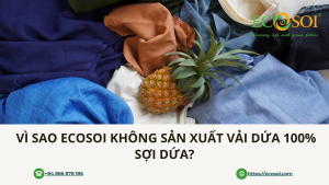 Vì Sao Ecosoi Không Sản Xuất Vải Dứa 100% Sợi Dứa?