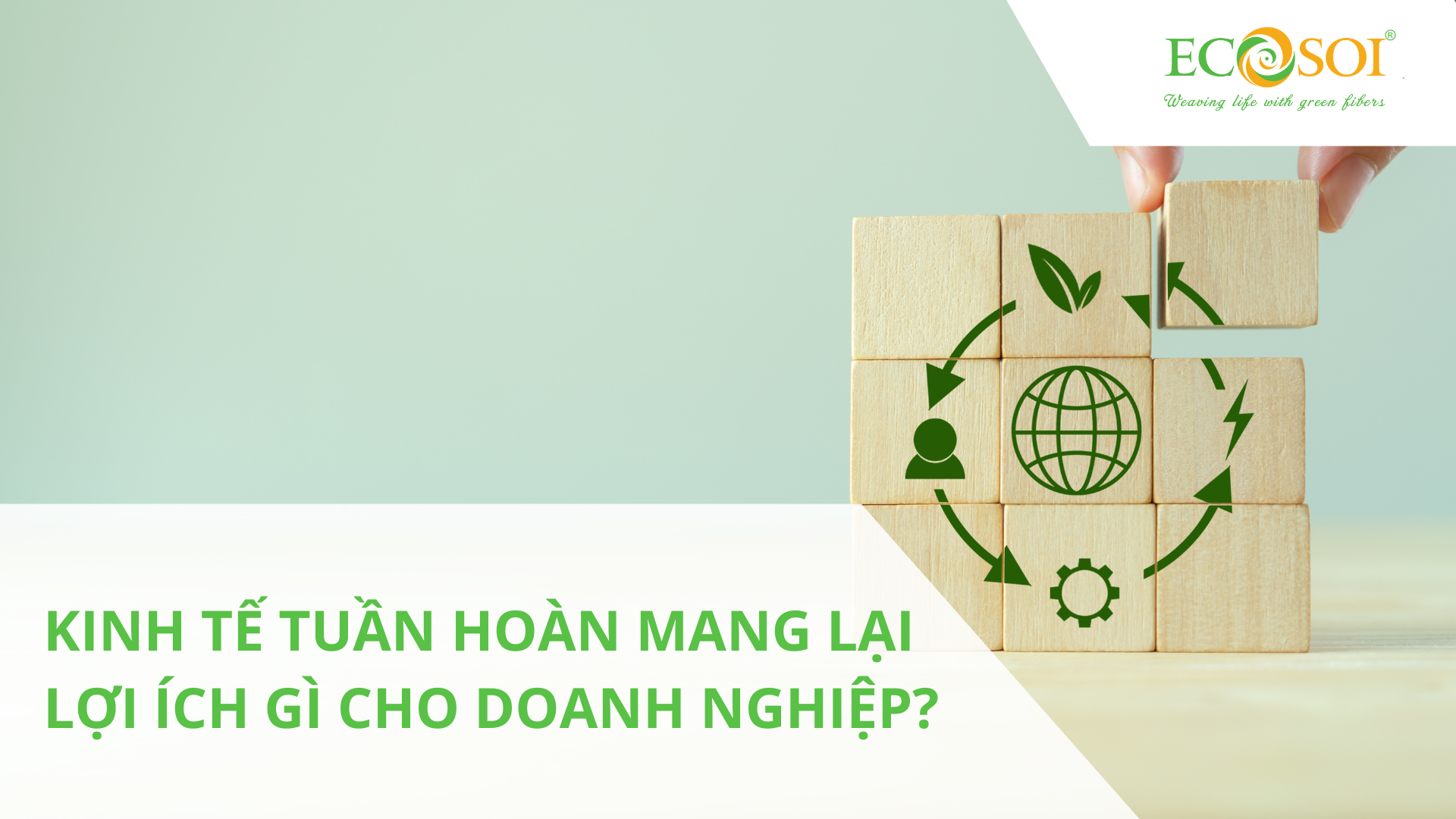 KINH TẾ TUẦN HOÀN MANG LẠI LỢI ÍCH GÌ CHO DOANH NGHIỆP?