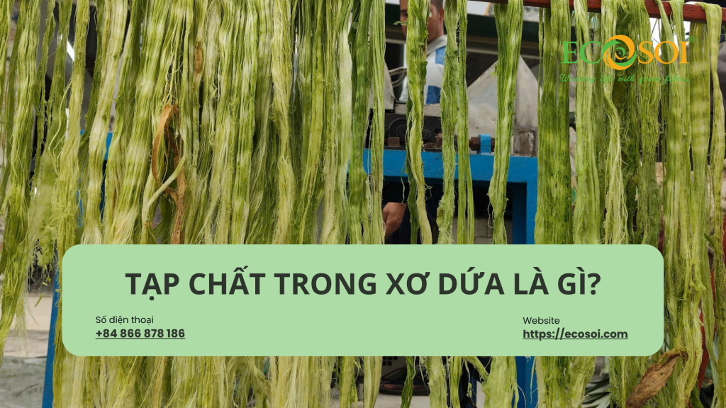 TẠP CHẤT TRONG XƠ DỨA LÀ GÌ? VÌ SAO ĐỘ SẠCH ẢNH HƯỞNG ĐẾN CHẤT LƯỢNG XƠ?