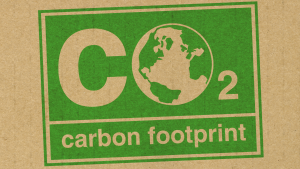 Dấu chân carbon là gì? Cách hiểu đúng trong dệt may