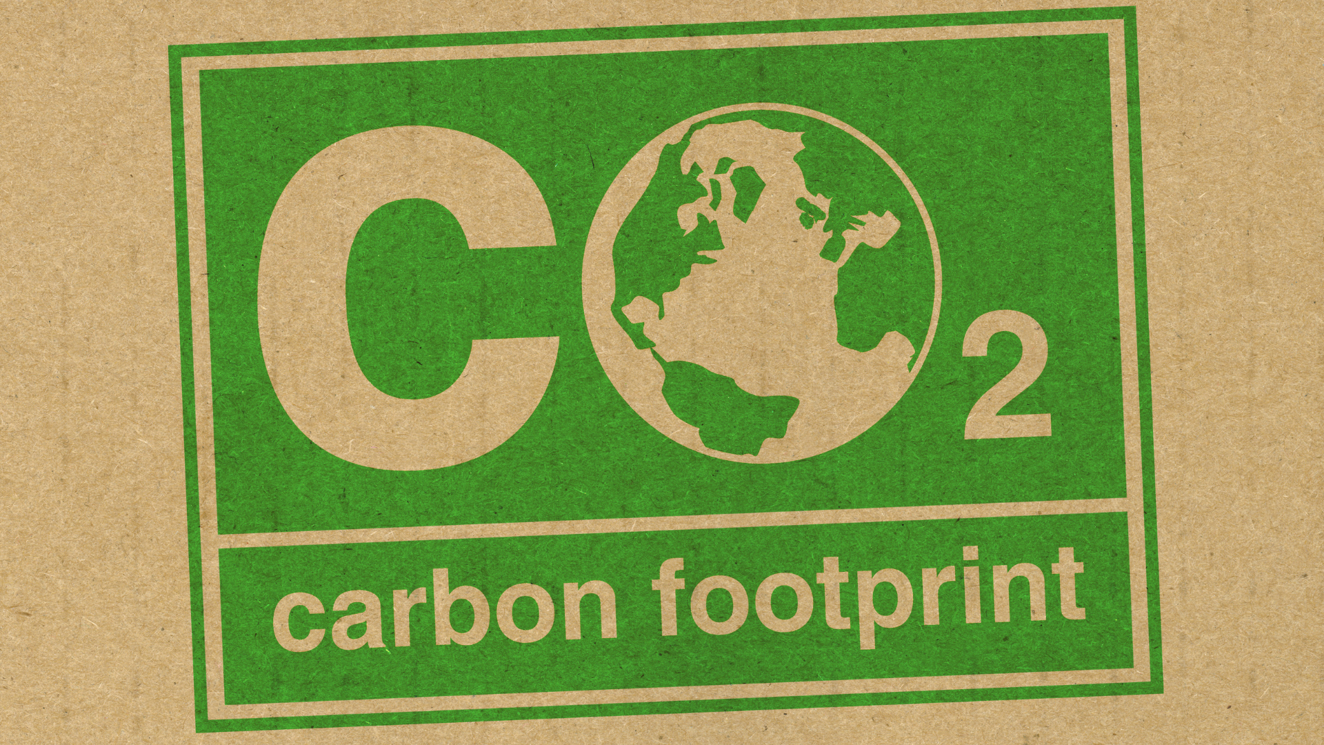 Dấu chân carbon là gì? Cách hiểu đúng trong dệt may