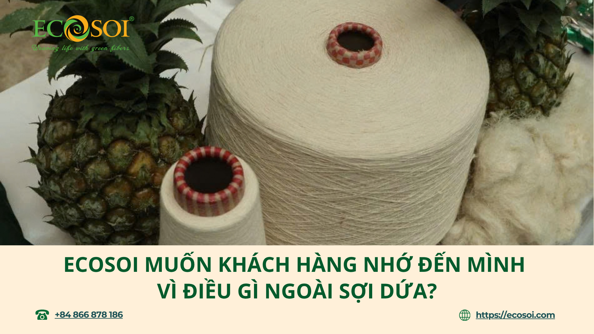 Ecosoi muốn khách hàng nhớ đến mình vì điều gì ngoài sợi dứa?